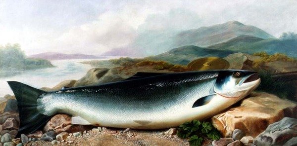 Stilleven van een Zalm aan een Rivieroever in een Bergachtig Landschap door John Russell