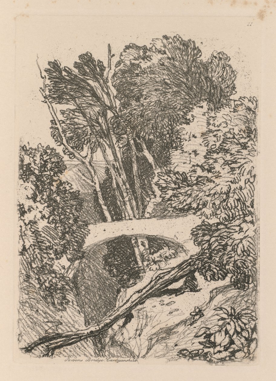 Liber Studiorum: Plaat 11: Parsons Bridge, Cardingshire, 1838 door John Sell Cotman