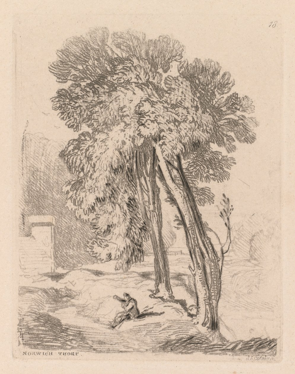Liber Studiorum: Plaat 18, Bomen in Norwich Thorp, Norfolk, 1838 door John Sell Cotman