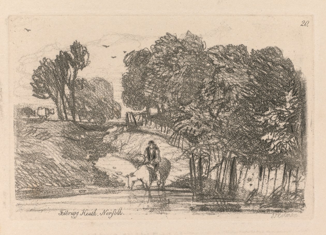 Liber Studiorum: Plaat 20, Felbrigg Heath, Norfolk, 1838 door John Sell Cotman
