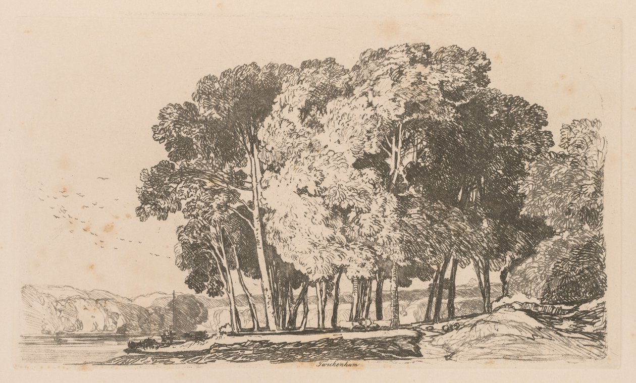 Liber Studiorum: Plaat 3, Bomen bij Twickenham door John Sell Cotman
