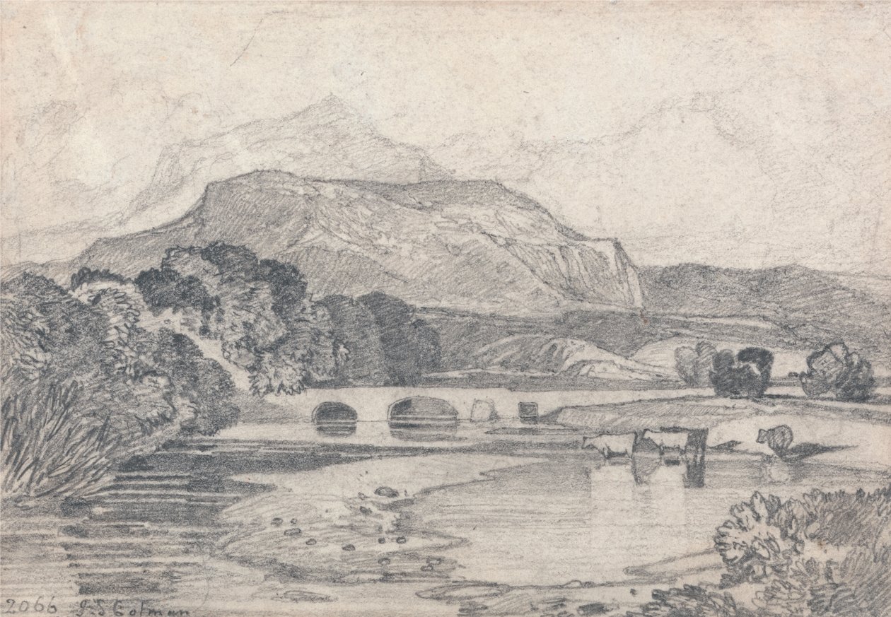 Tan-y-Bwlch, Noord-Wales door John Sell Cotman