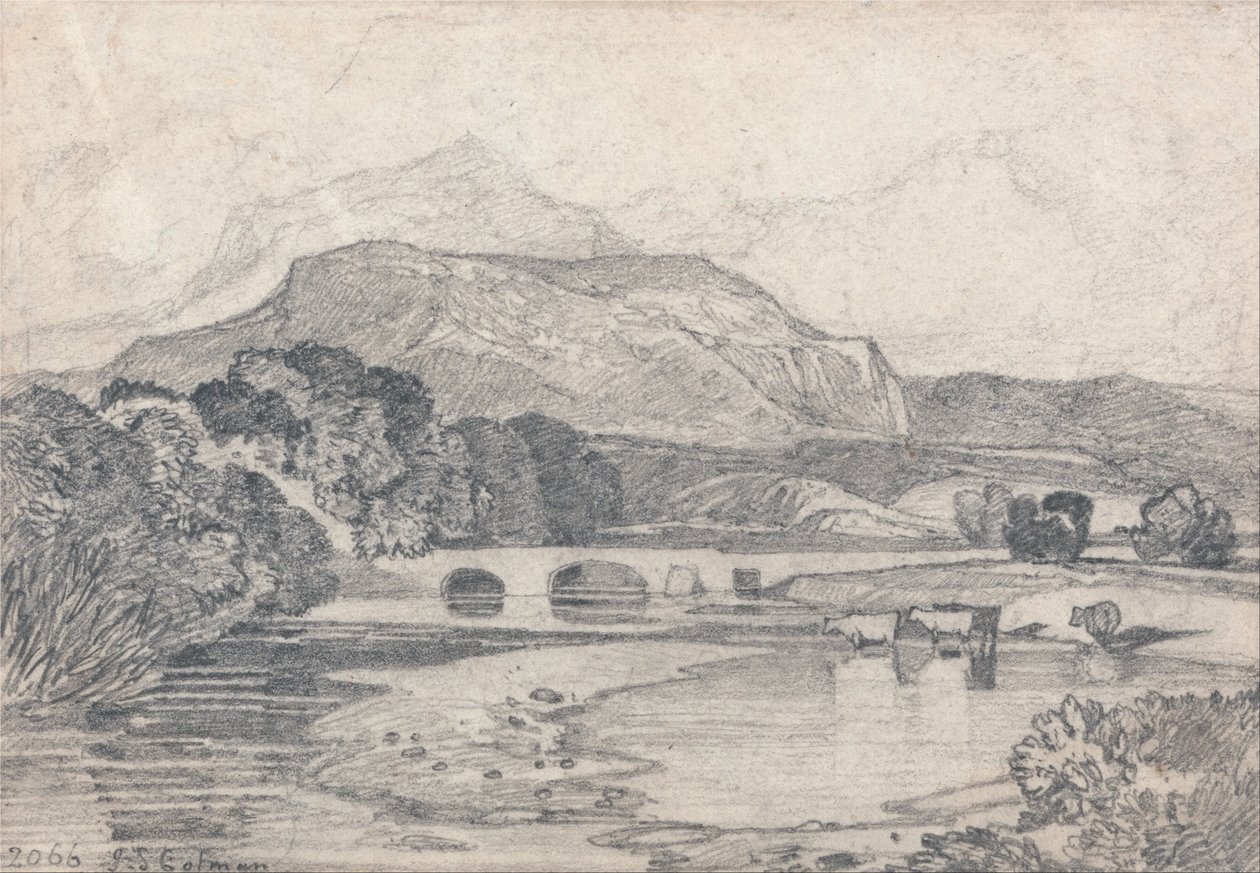 Tan-y-Bwlch, Noord-Wales door John Sell Cotman