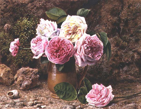 Rozen door John Sherrin