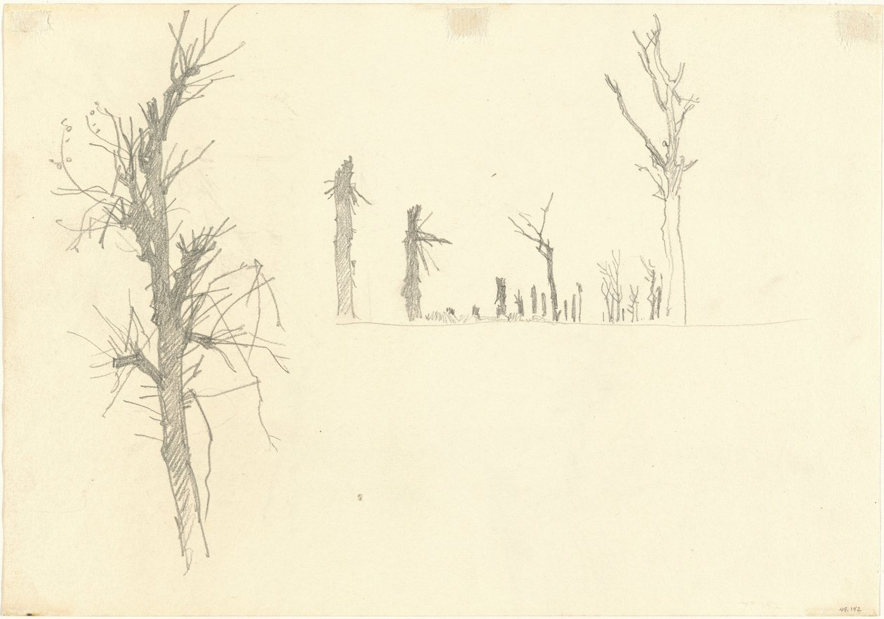 Verwoeste bomen door John Singer Sargent