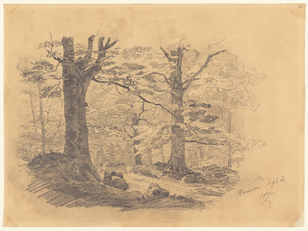 Bos, Ramsau, Duitsland, 1871 door John Singer Sargent