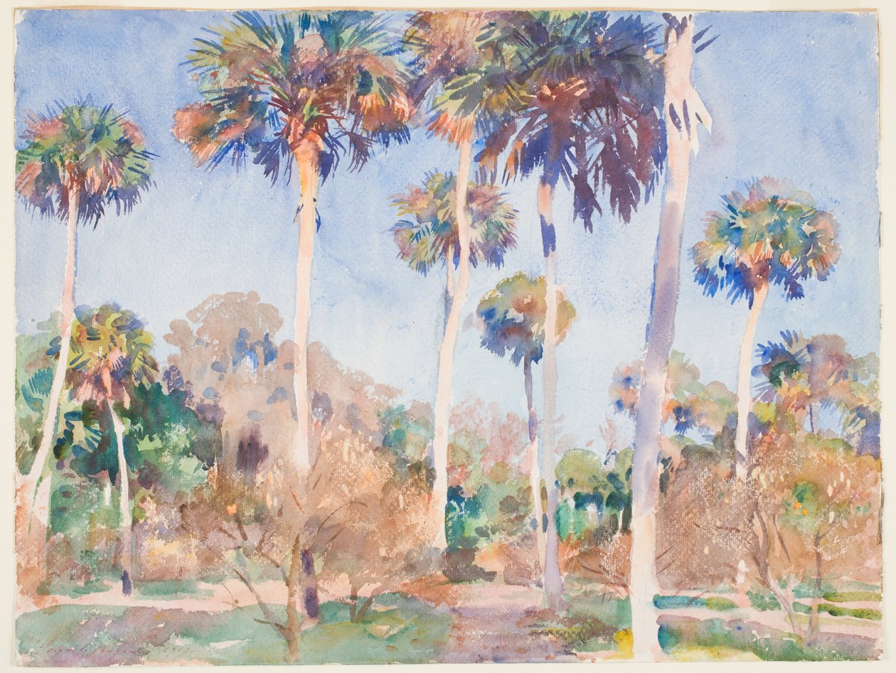 Palmen, 1917 door John Singer Sargent