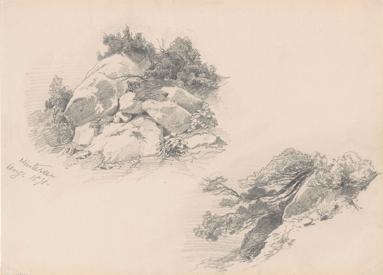 Rotsen en struiken, Hintersee, Duitsland, 1871 door John Singer Sargent