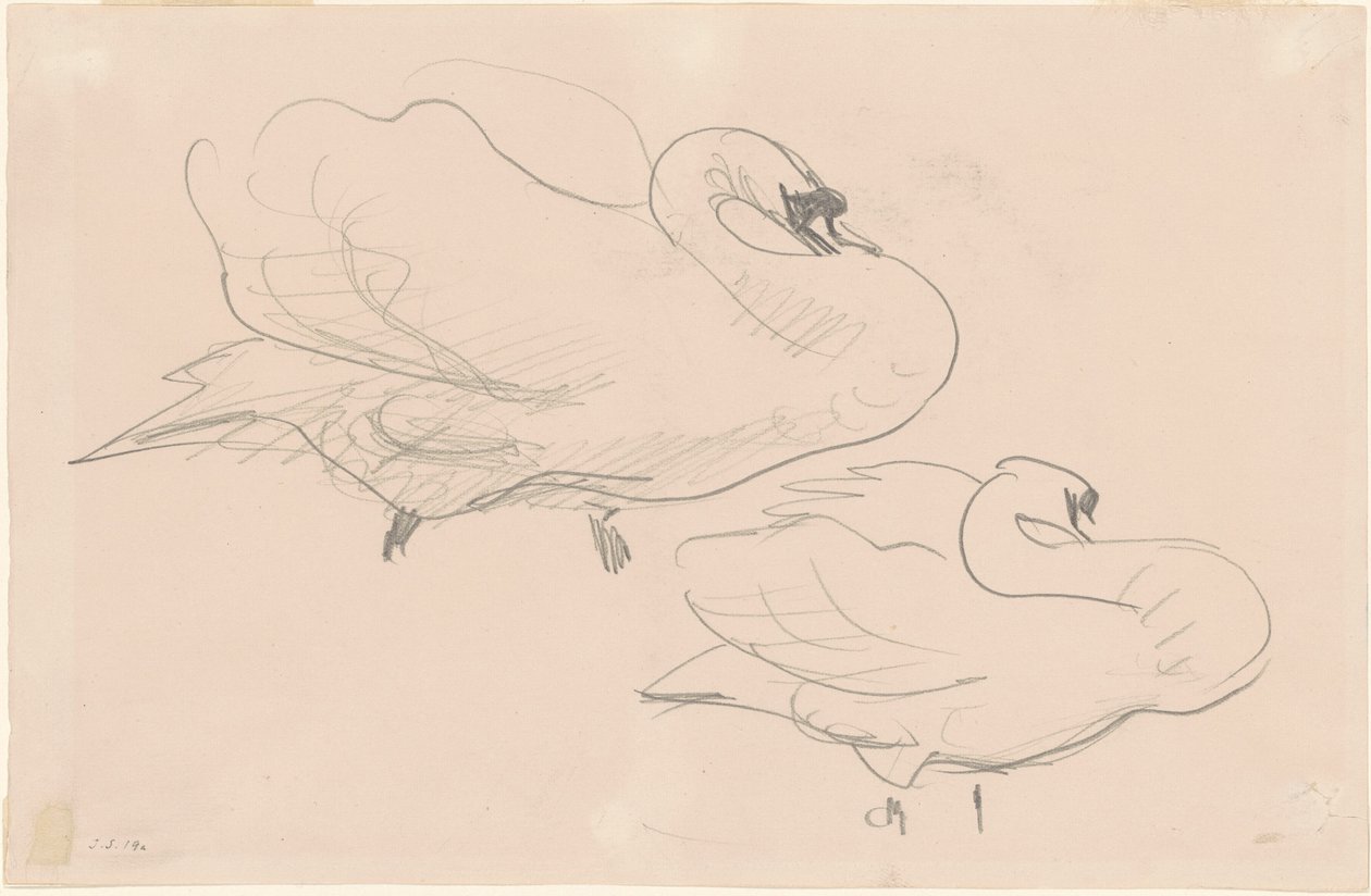 Studies van een Zwaan, 1880-1900 door John Singer Sargent