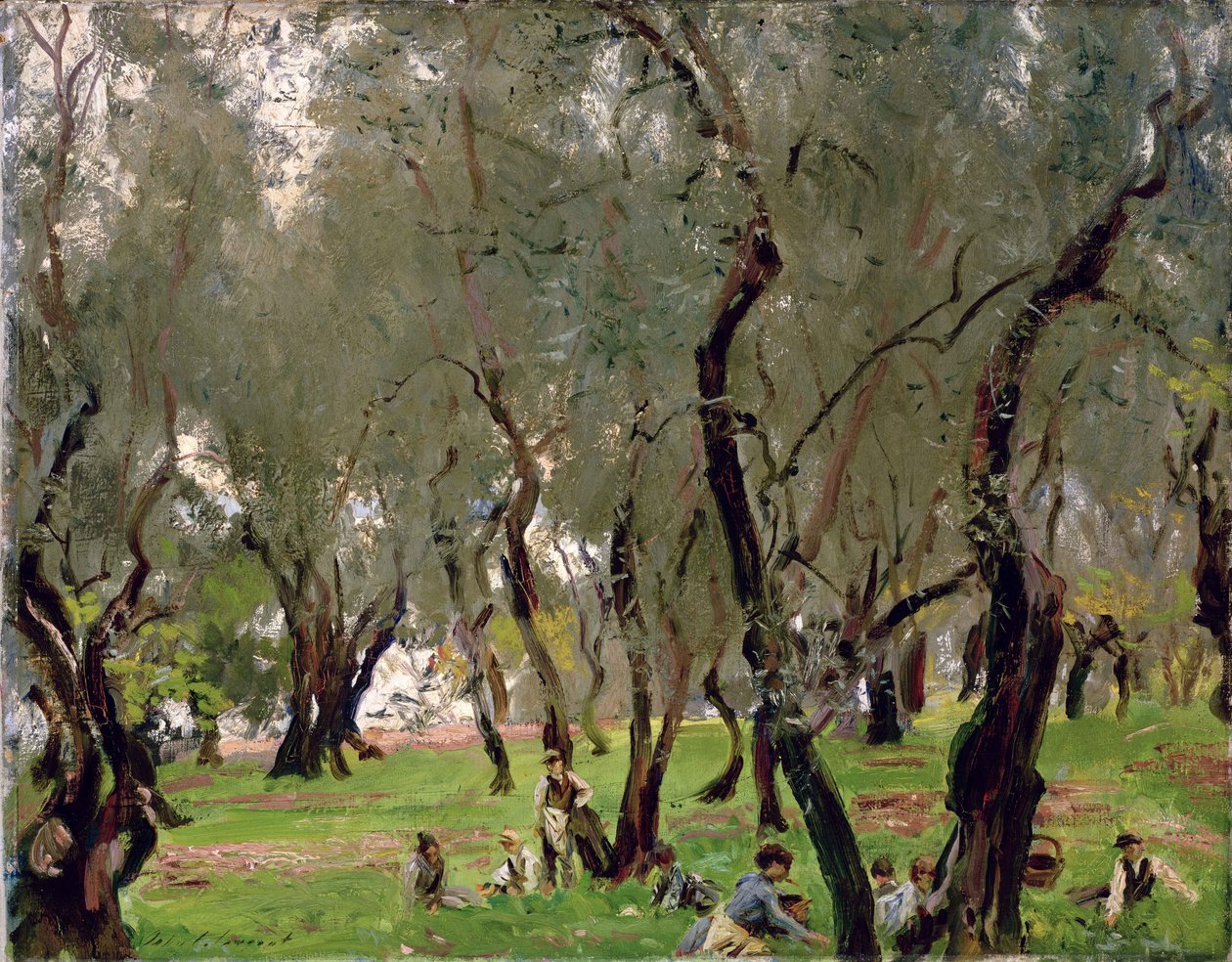 De olijfboomgaard, c.1910 door John Singer Sargent