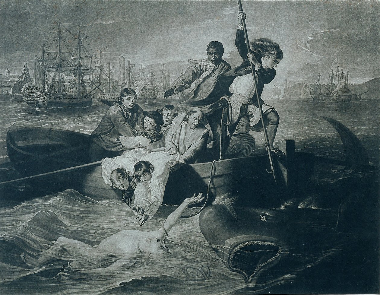 Watson en de haai door John Singleton Copley