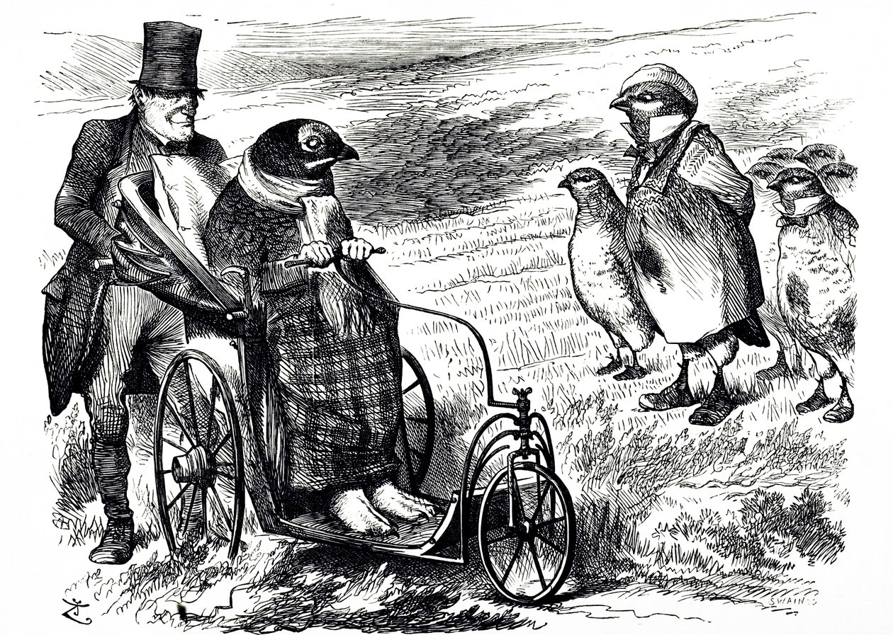Een cartoon die commentaar geeft op de opschorting van het jagen op korhoenders om de voorraad te laten herstellen. Geïllustreerd door John Tenniel (1820-1914) een Engelse illustrator, grafische humorist en politieke cartoonist door John Tenniel
