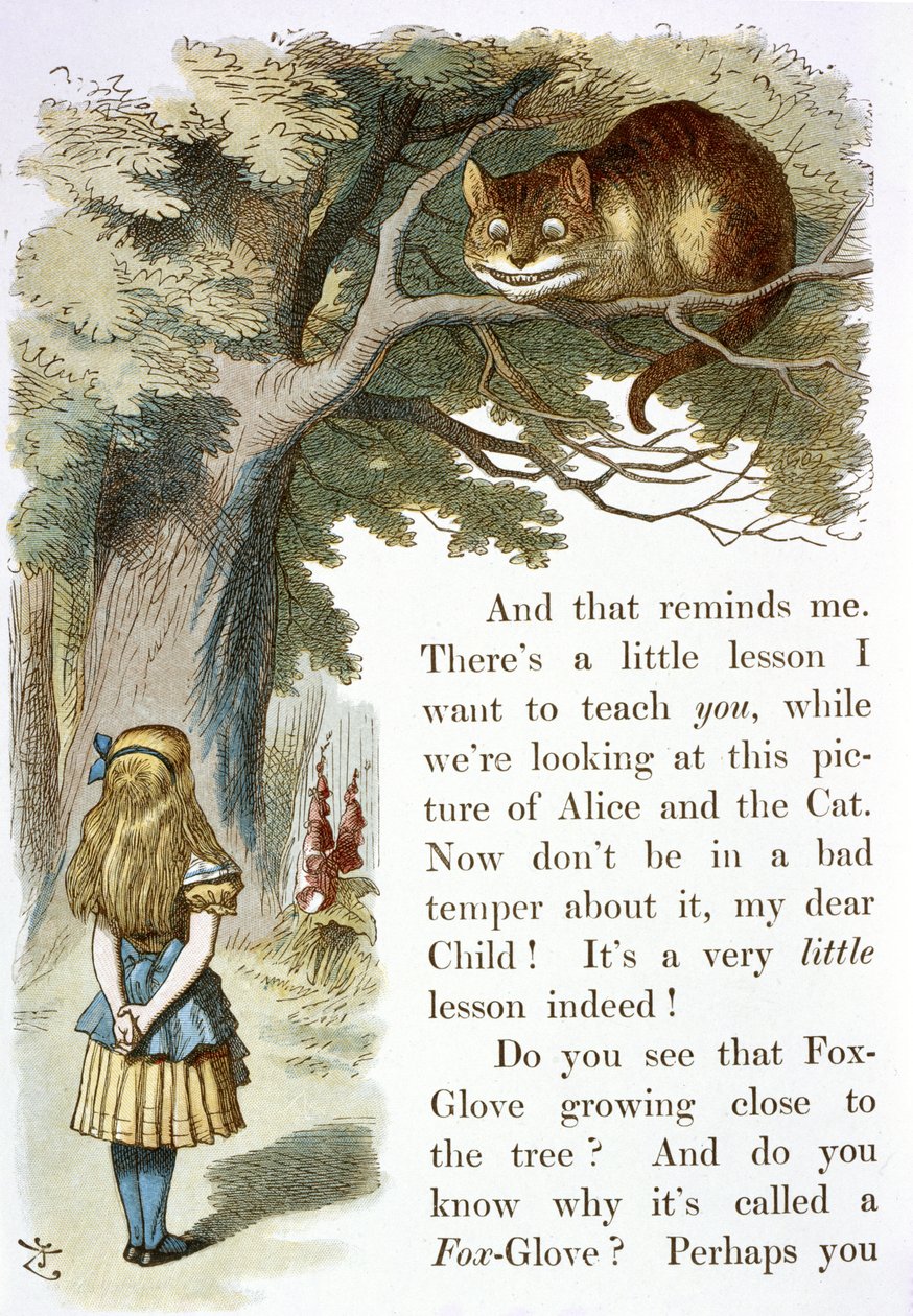 De Cheshire kat door John Tenniel