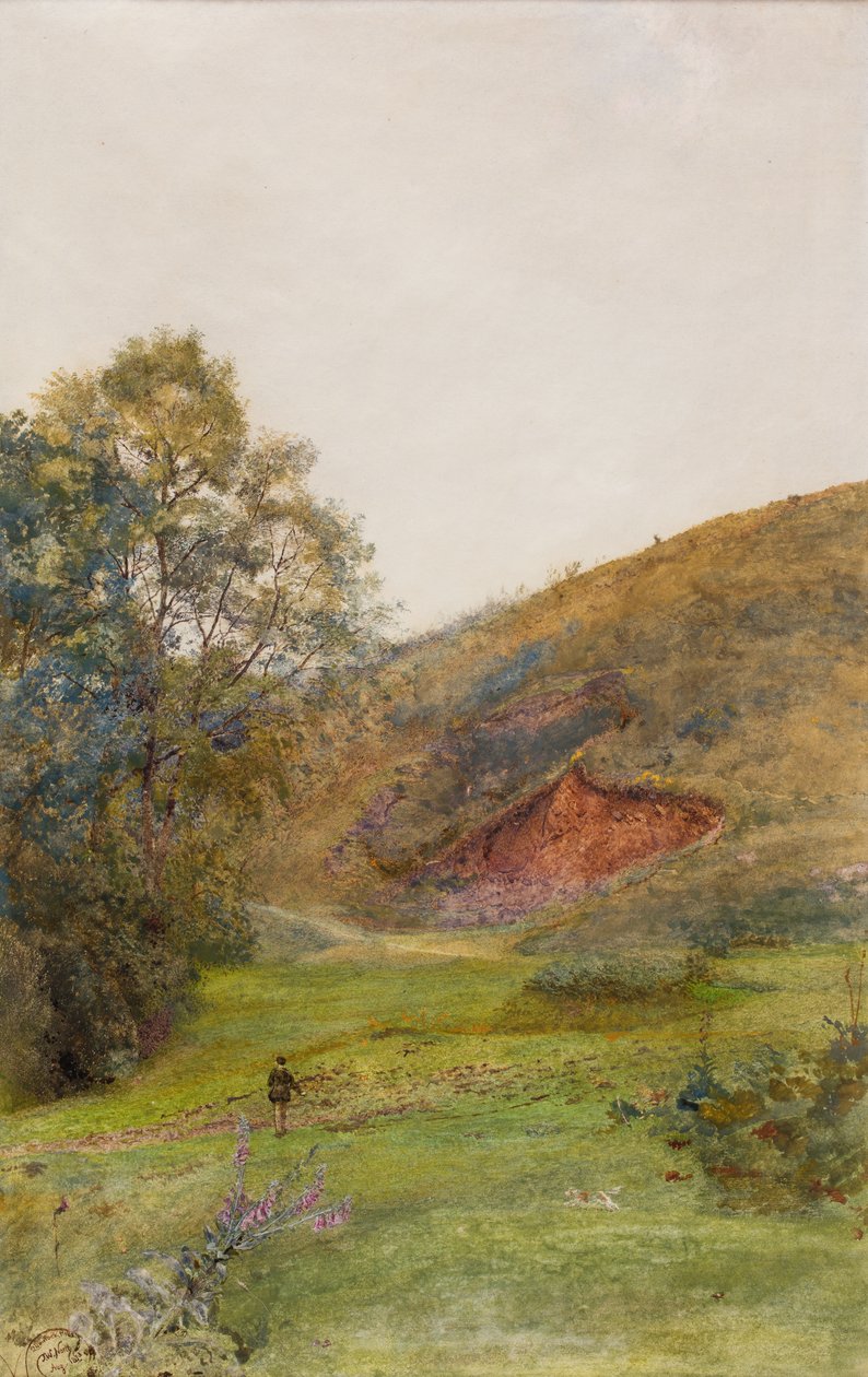 De Quantock Heuvels, ca. 1870 door John William North