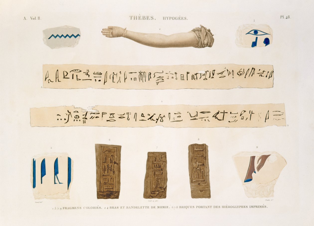 Illustraties van hiërogliefen en de arm van een mummie uit Hypogees, Thebe, plaat 48 uit Vol II van 