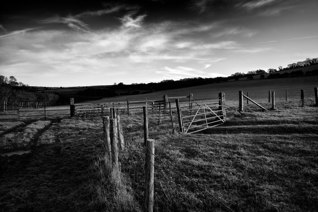  door Jon Nicholson