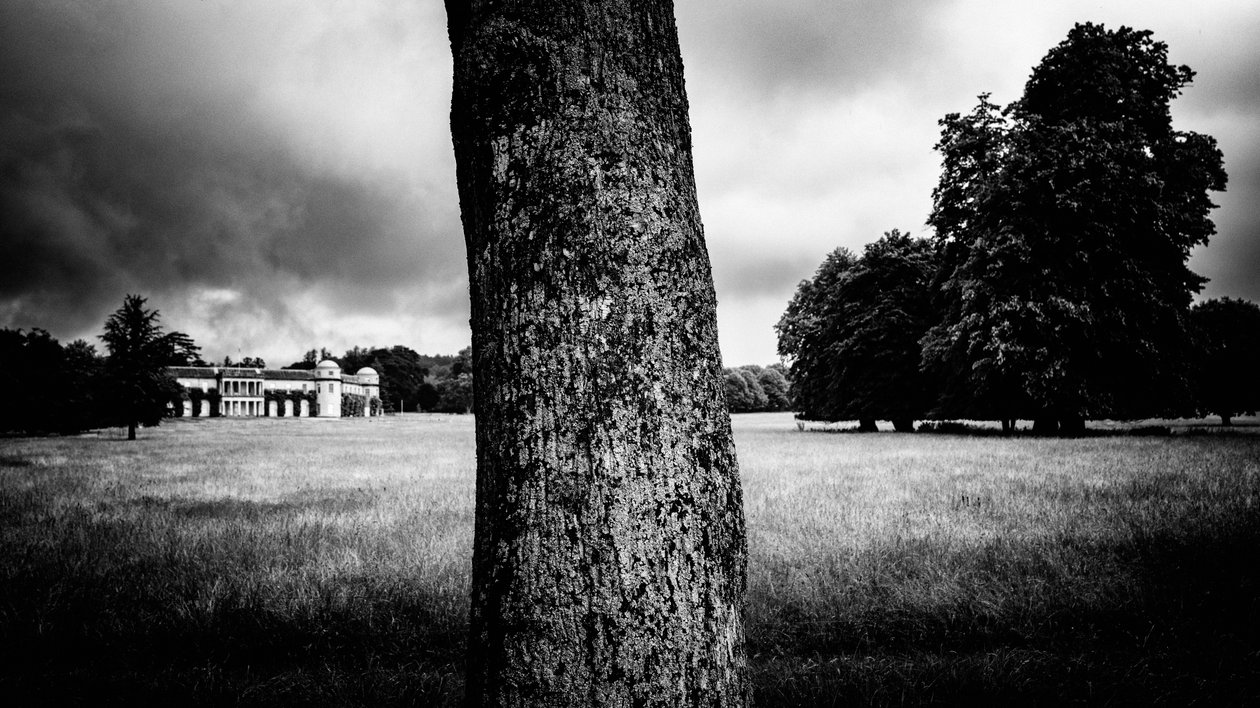 Het Goodwood Estate in West Sussex, VK, 2020 (foto) door Jon Nicholson