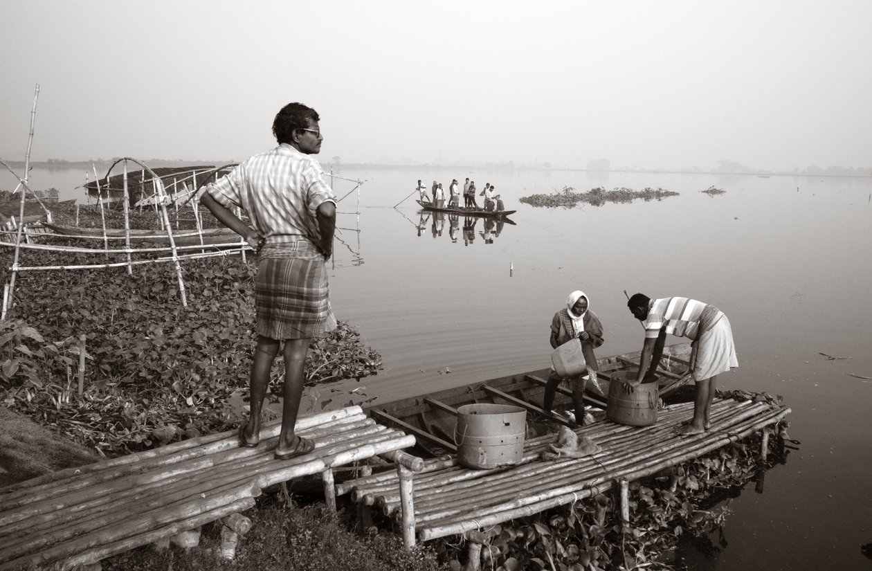 Wetlandvissen in Kolkata, 2016 (foto) door Jon Nicholson