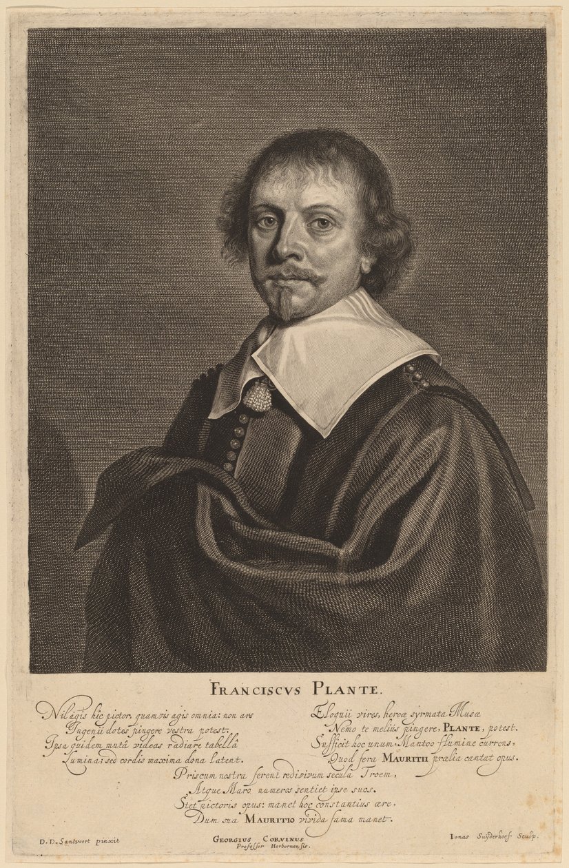 Franciscus Plante door Jonas Suyderhoff after Pieter Dircksz Santvoort
