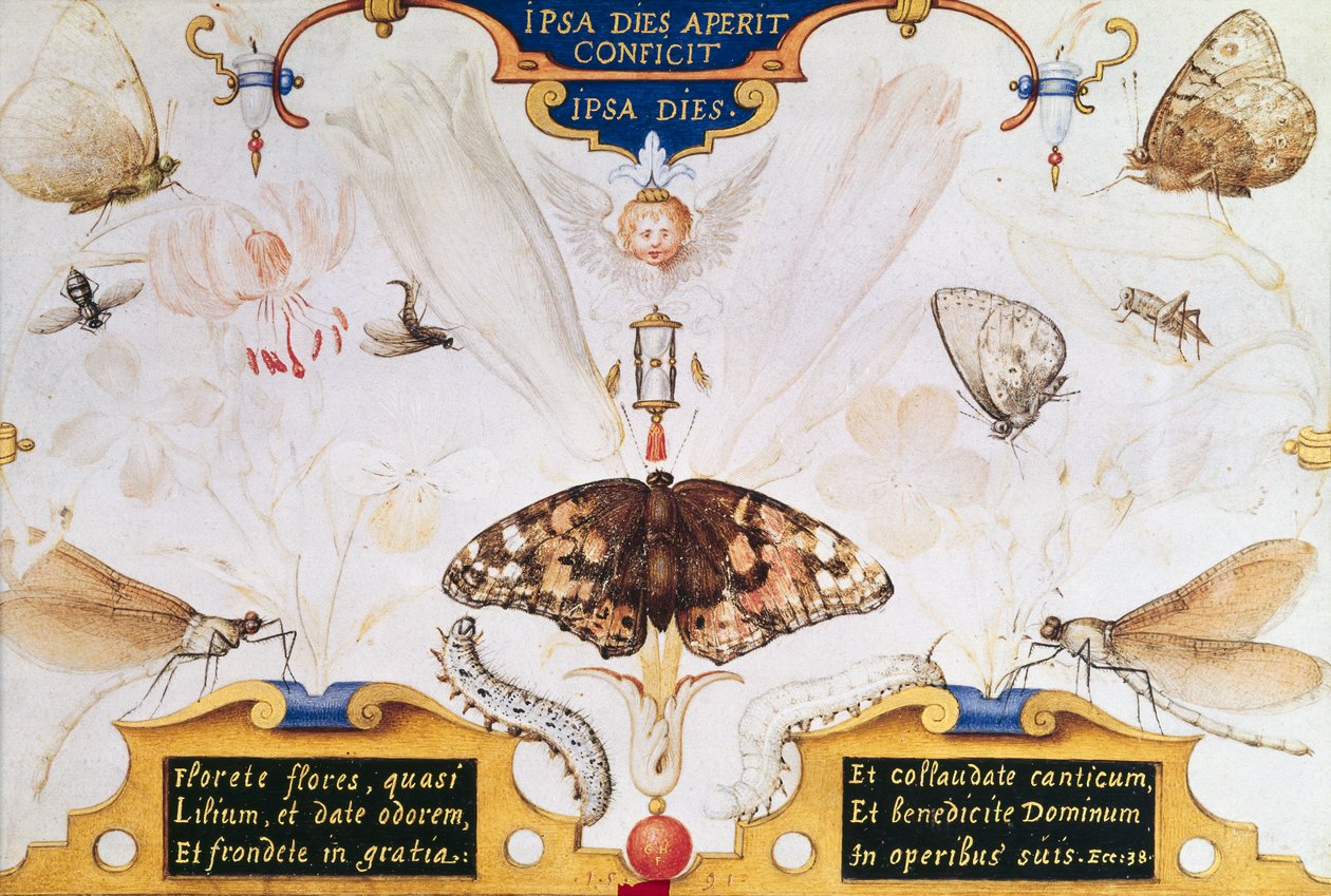 Diptiek met bloemen en insecten, 1591 door Joris Hoefnagel