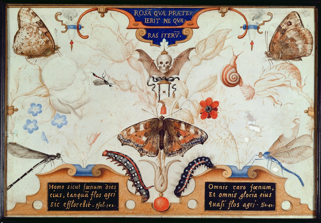 Diptiek met bloemen en insecten, 1591 door Joris Hoefnagel