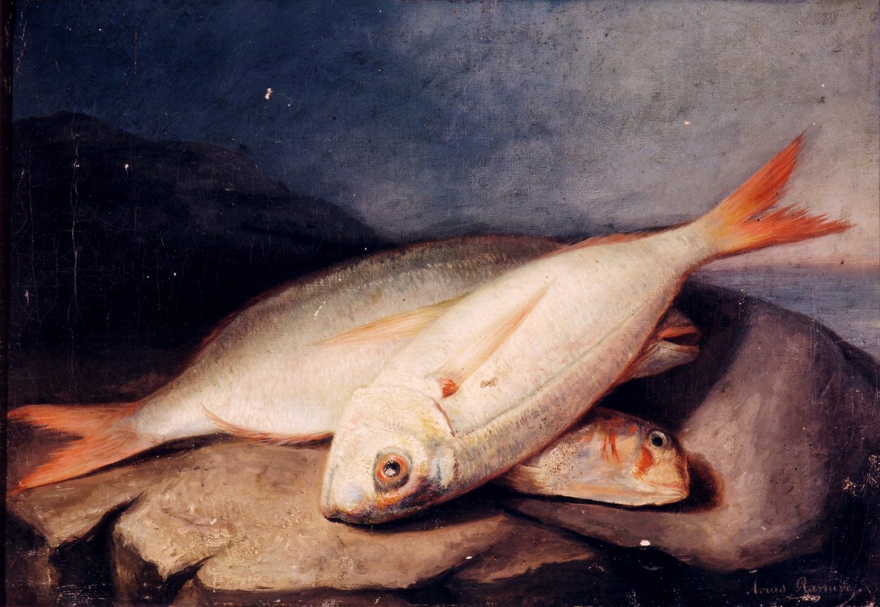 Spaans: Bodegón de peces door José Arias Ramírez