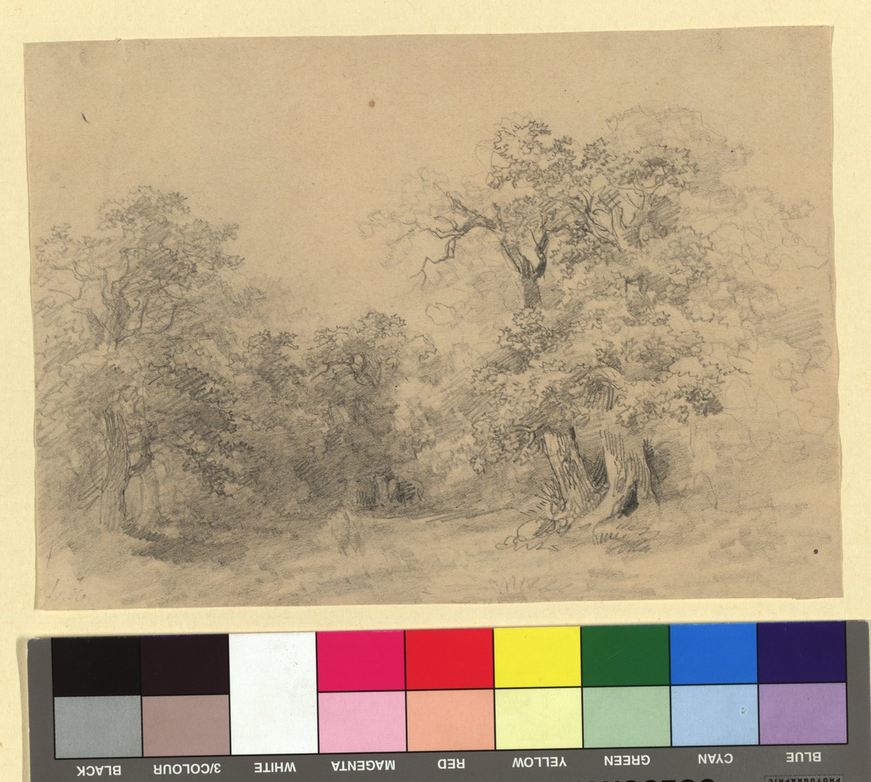 Boslandschap door Josef Kriehuber