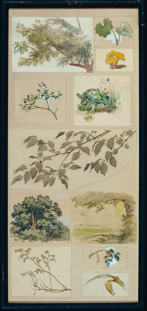 Studies naar de natuur door Josef Wawra