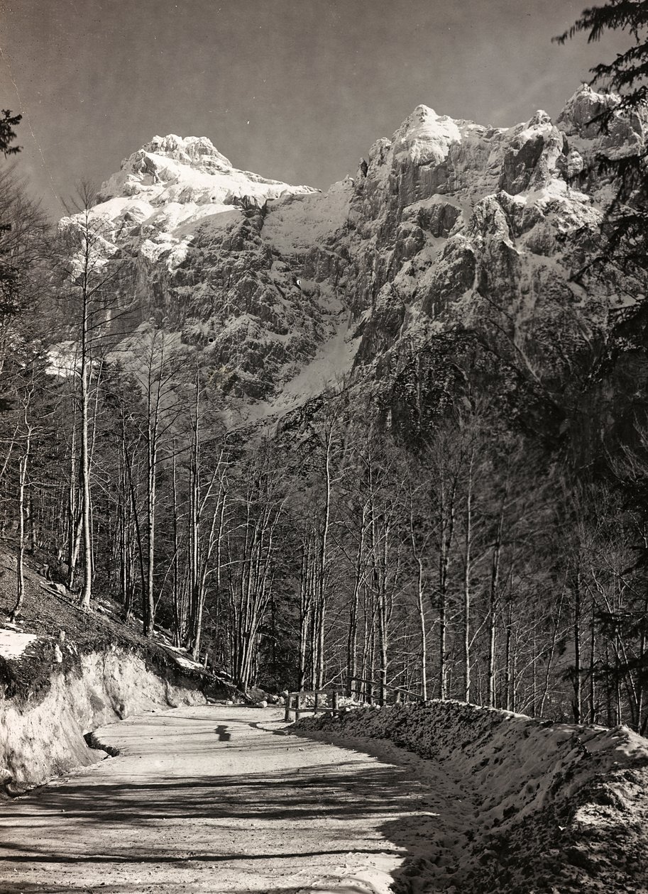 Album "Meine weltkriegs - Erinnerungen South-West Front (Karinthië, Italië, Zuid-Tirol) 31/03/1915-12/11/1918 - Josef Zohles Wenen": bergweg door Josef Zohles