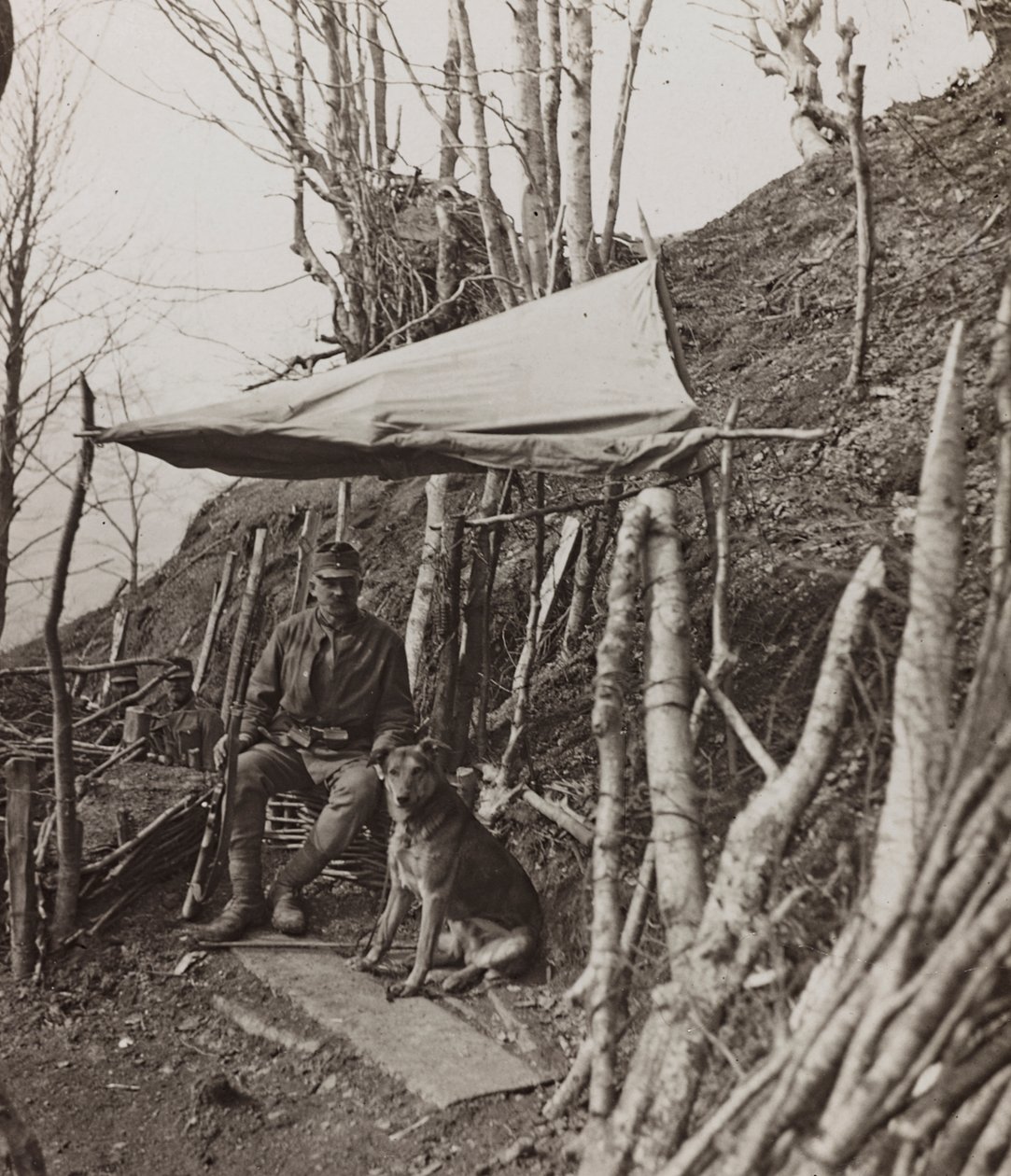 Album "Meine weltkriegs - Erinnerungen Zuidwestfront (Karinthië, Italië, Zuid-Tirol) 31/03/1915-12/11/1918 - Josef Zohles Wien": militaire hond onder een tent door Josef Zohles