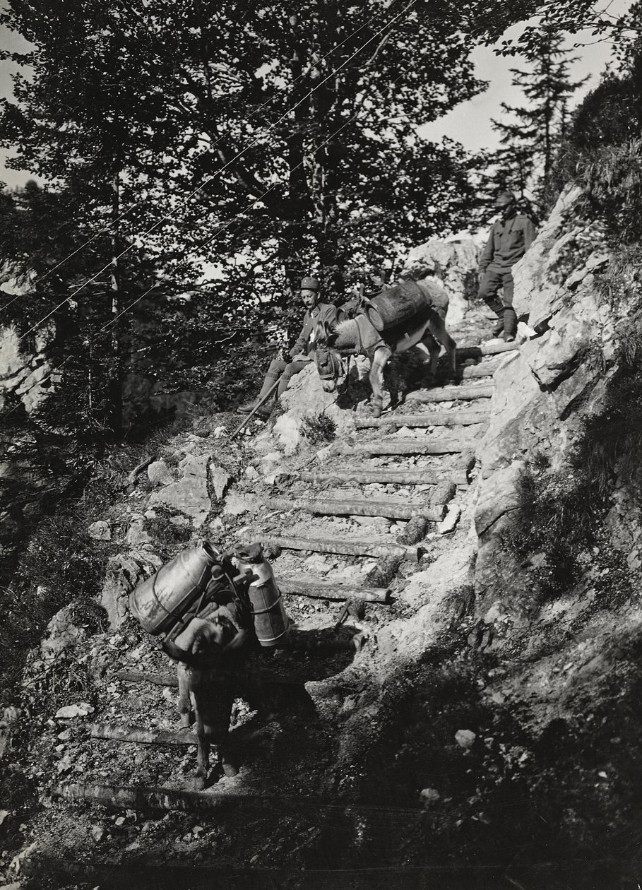 Album "Meine weltkriegs - Erinnerungen South-West Front (Karinthië, Italië, Zuid-Tirol) 31/03/1915-12/11/1918 - Josef Zohles Wien": leger muilezels langs een steile helling door Josef Zohles