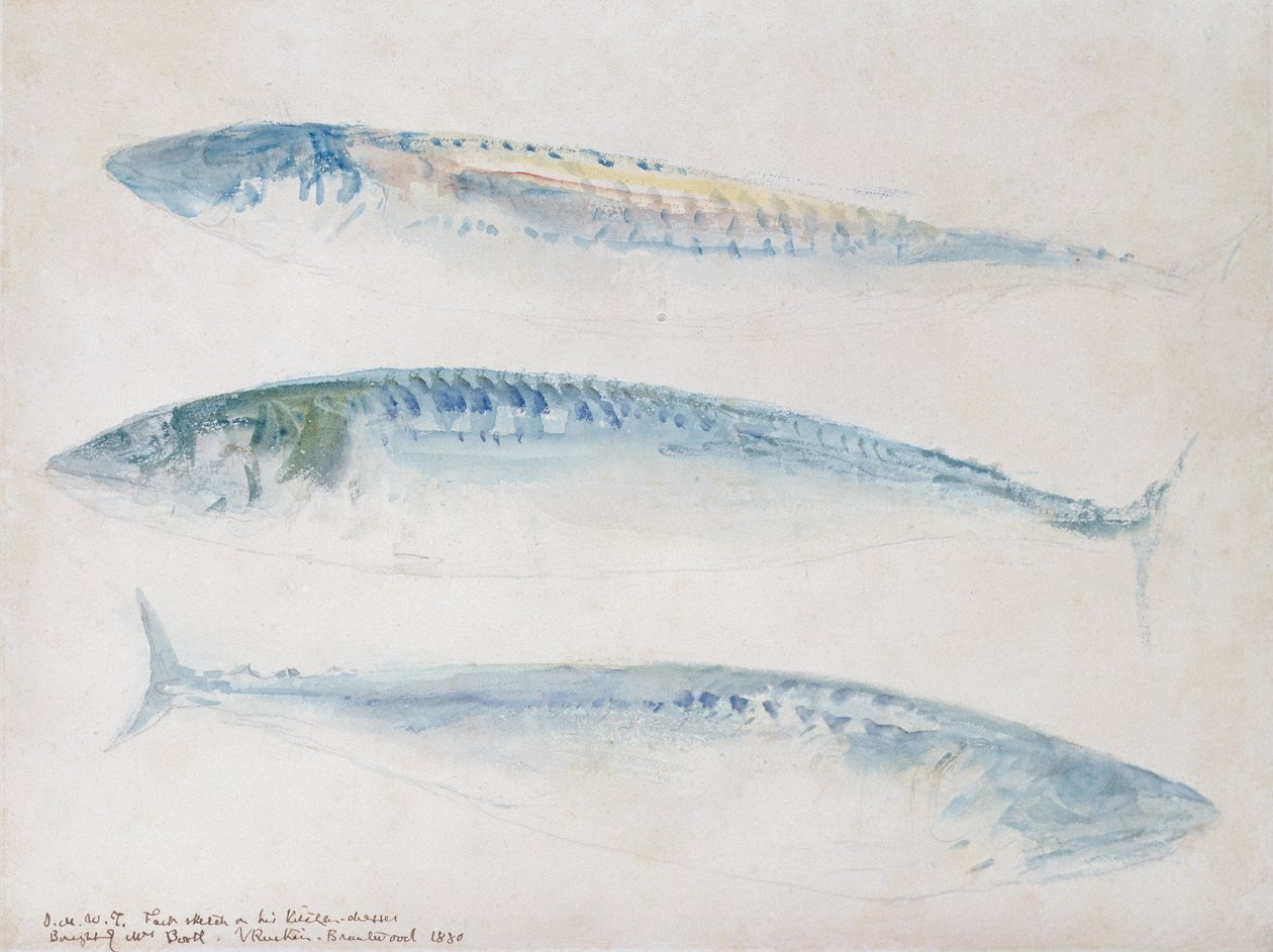 Een schets van drie makrelen door Joseph Mallord William Turner