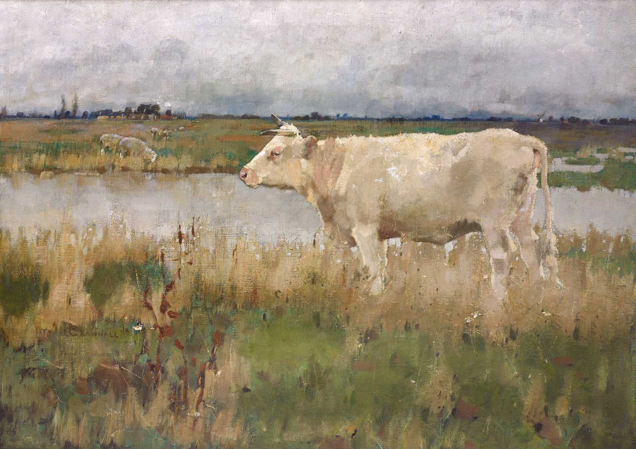 Een Lincolnshire-weide, c.1882-3 door Joseph Crawhall