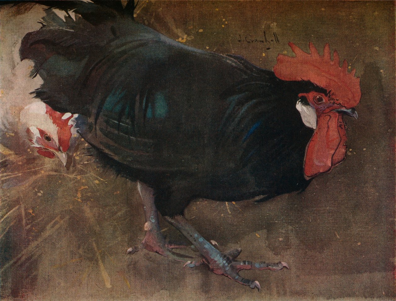 De Zwarte Haan, ca. 1894 door Joseph Crawhall
