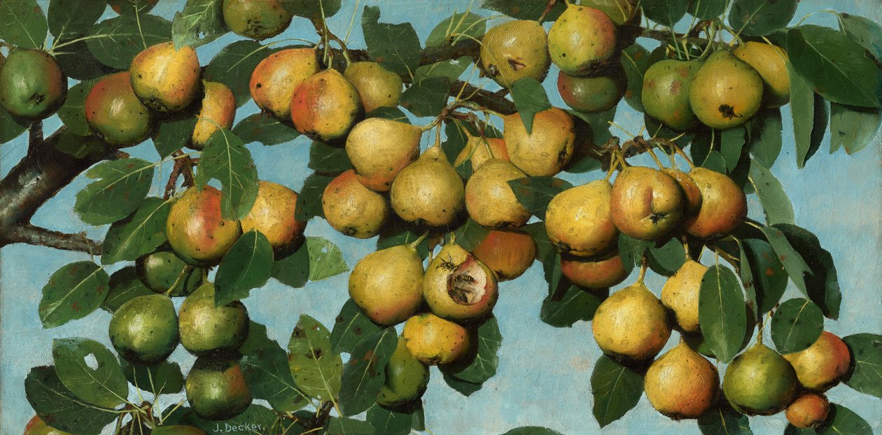 Rijpende peren, ca.1884-1885 (olieverf op doek) door Joseph Decker
