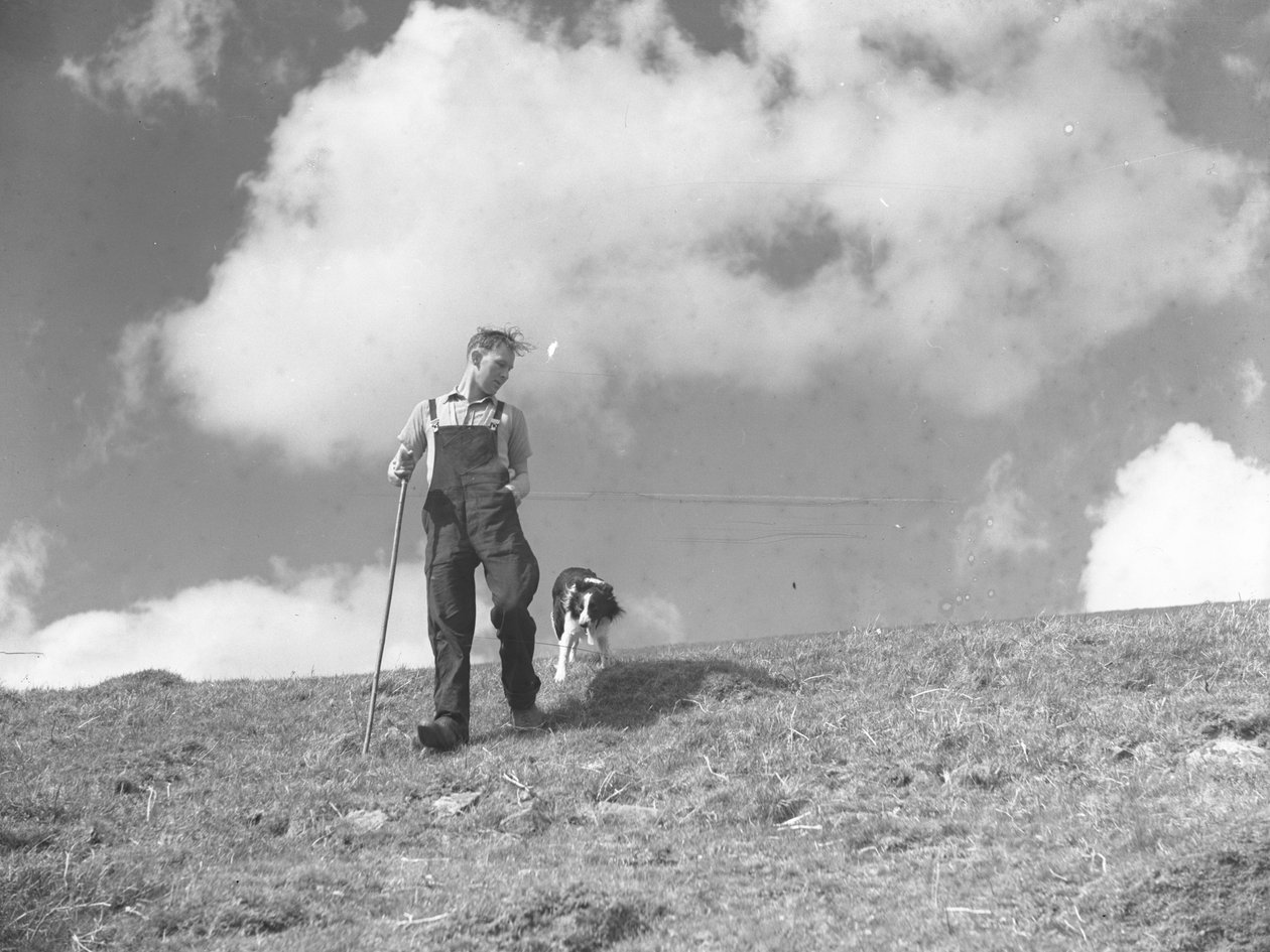 Een herder en zijn herdershond aan het wandelen in Martindale door Joseph Hardman