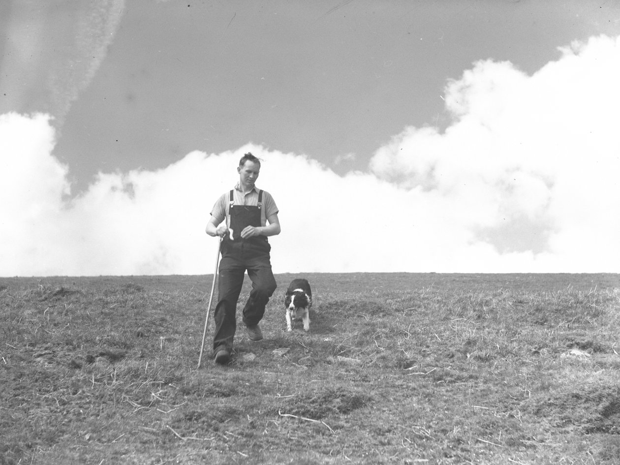 Een man en zijn herdershond aan het wandelen in Martindale door Joseph Hardman