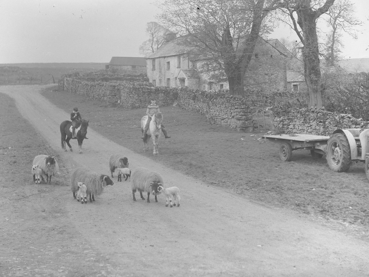 Een uitzicht op schapen, lammeren, twee kinderen op pony
