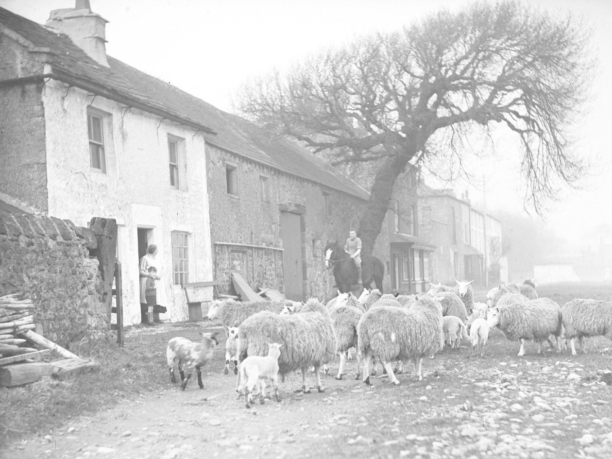Kudde schapen en lammeren op een spoor voor een boerderij met een man te paard die praat met een vrouw en kind bij de deur van het huis door Joseph Hardman