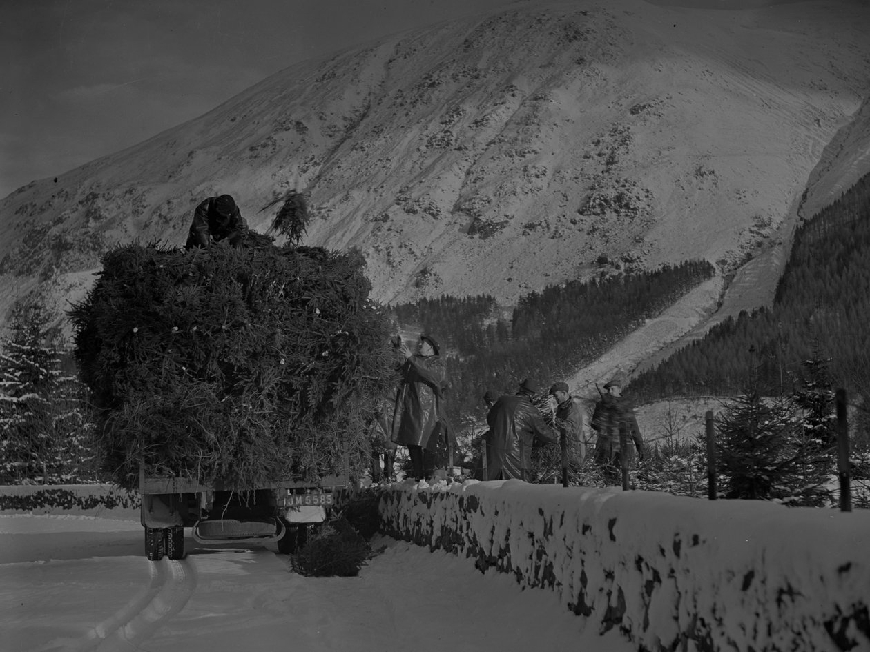 Vrachtwagen gevuld met kerstbomen op weg op een besneeuwde weg door Joseph Hardman