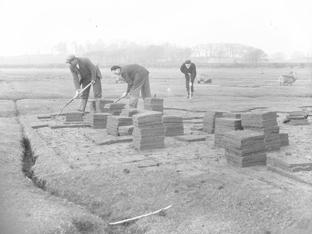 Graszodensnijders die graszoden snijden, tillen en stapelen door Joseph Hardman