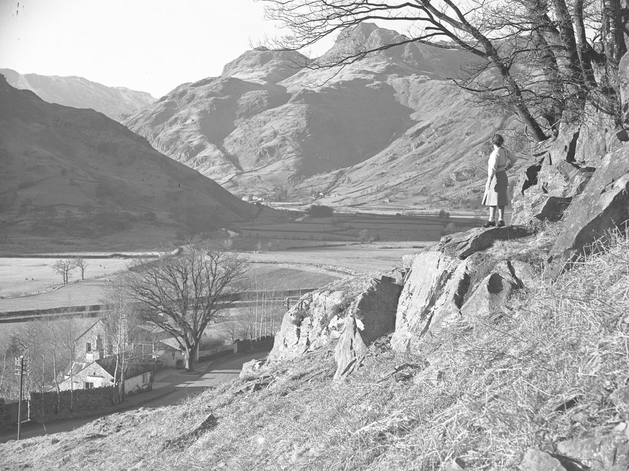 Vrouw op rotsen onder boom met uitzicht op Langdale Fells door Joseph Hardman
