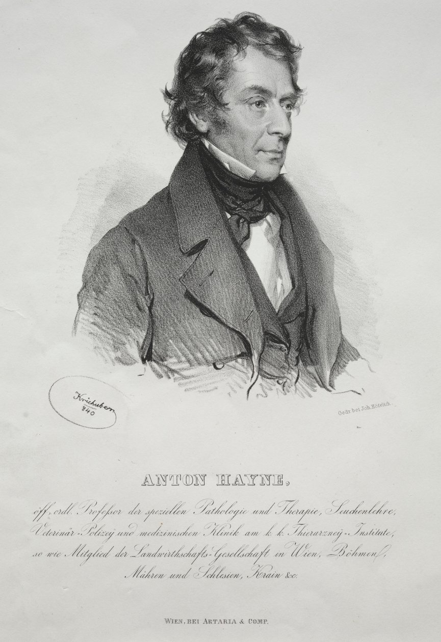 Portret van Dr. Anton Hayne door Joseph Kriehuber