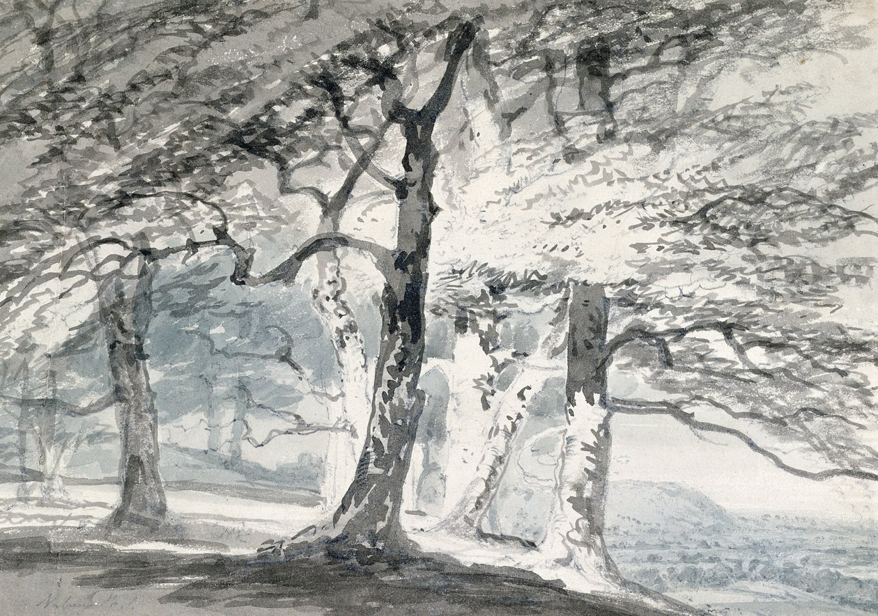 Norbury Park, Surrey door Joseph Mallord William (attr.to) Turner