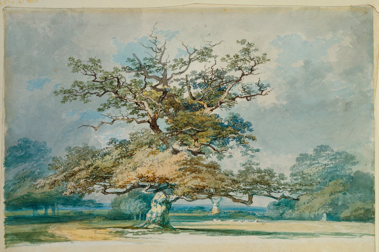 Een landschap met een oude eik door Joseph Mallord William Turner