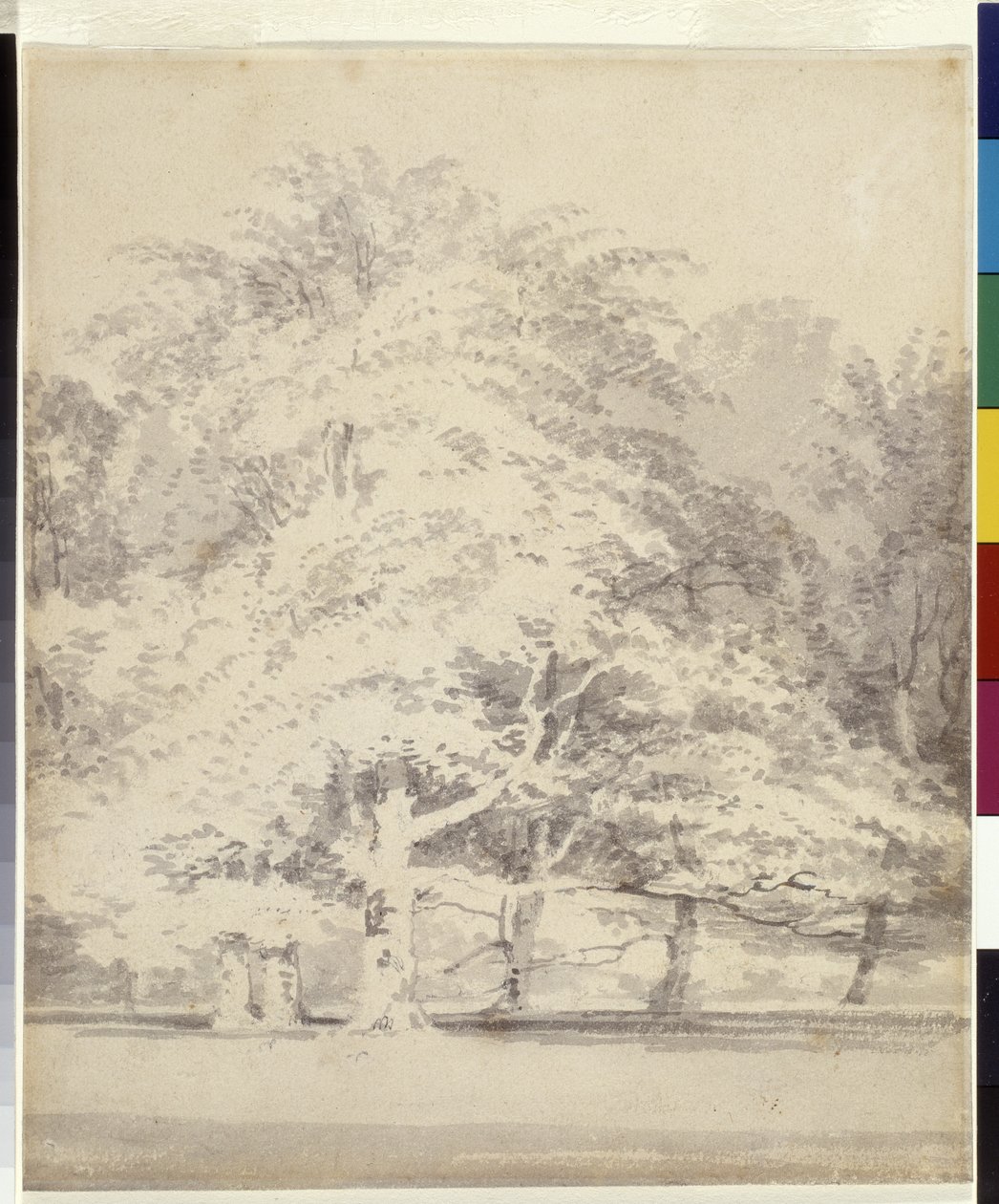 Beukenbomen door Joseph Mallord William Turner