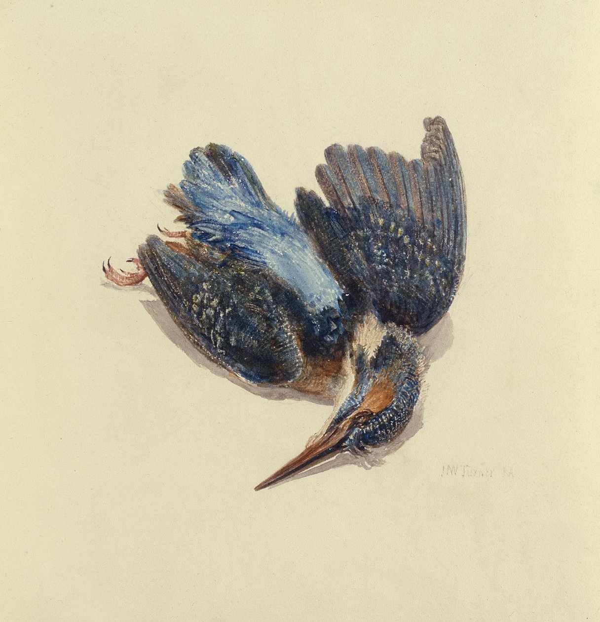 IJsvogel, uit Het Farnley Boek van Vogels, ca. 1816 door Joseph Mallord William Turner