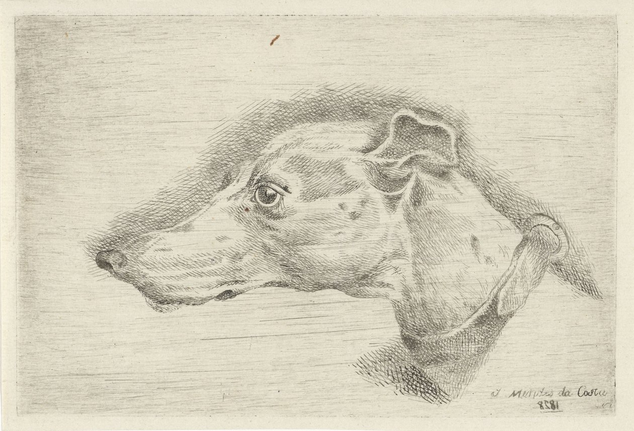 Kop van een hazewindhond door Joseph Mendes da Costa