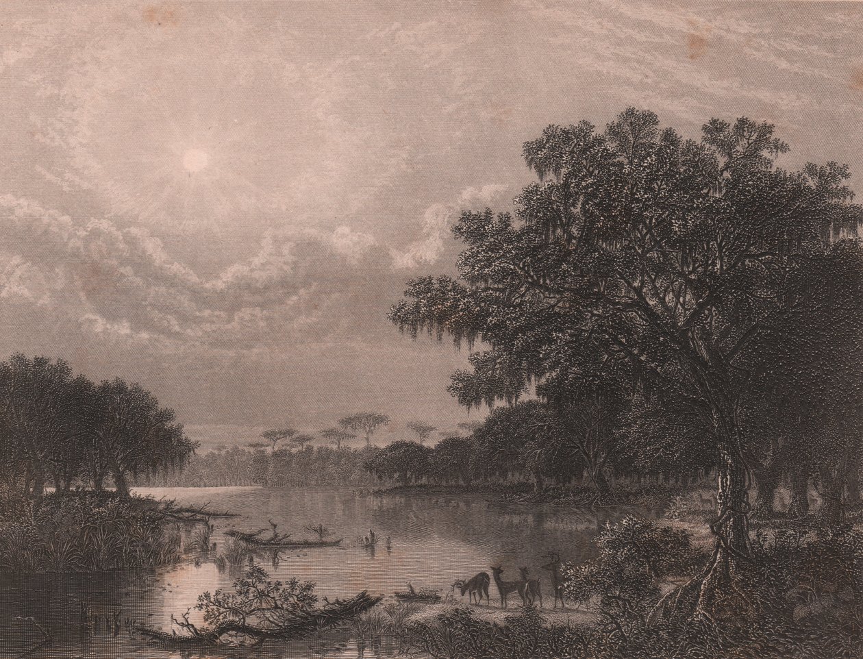 Louisiana Bayou, Verenigde Staten, staalgravure door Robert Hinshelwood naar schilderij van Joseph Rusling Meeker, circa 16x18 cm door Joseph Rusling Meeker