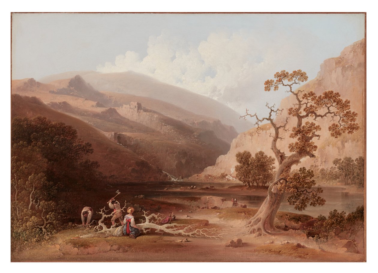 De Pioniers door Joshua H. Shaw